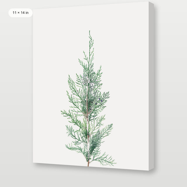 Winter Branch, Gallery Wrap