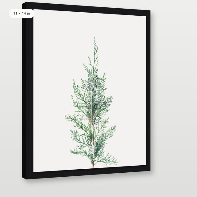 Winter Branch, Black Floater Frame