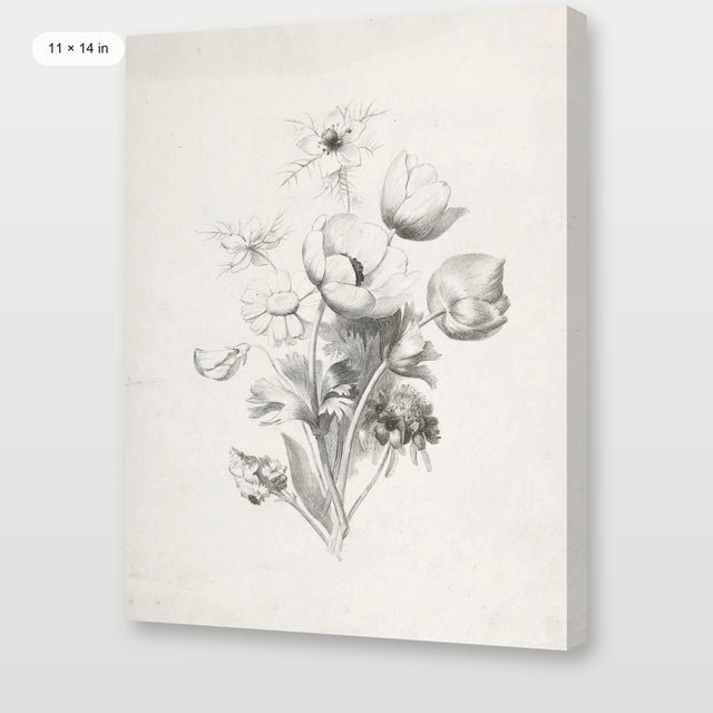 Flower Sketch, Gallery Wrap
