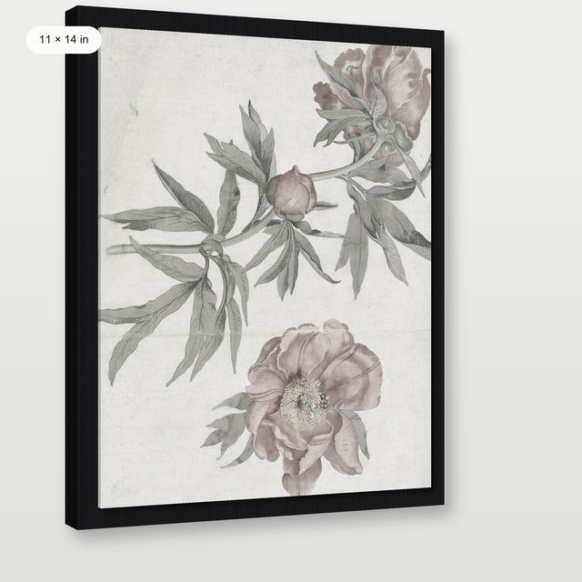 Spring Roses, Black Floater Frame