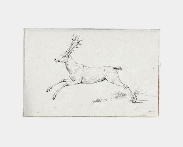 Reindeer Sketch, Full Bleed