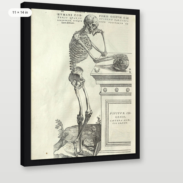 Vesalius - Human Anatomy, Black Floater Frame