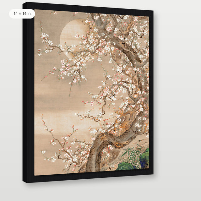 Japanese Blossom Sun Meditation, Black Floater Frame