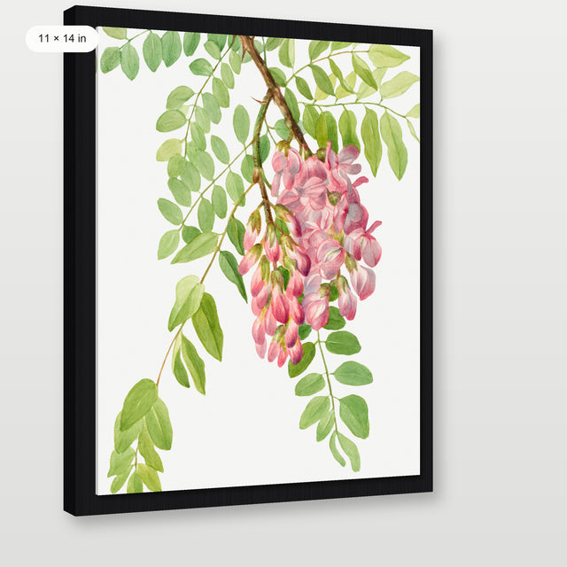 New Mexico Flower, Black Floater Frame