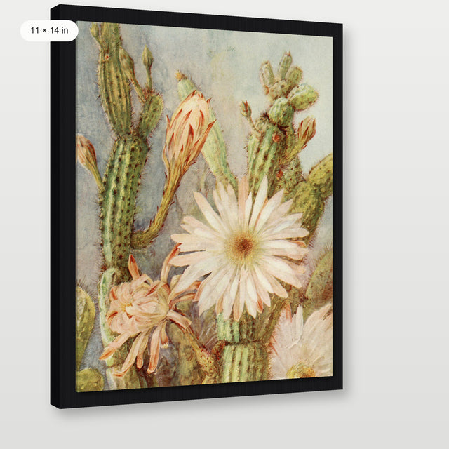Cactus, Black Floater Frame