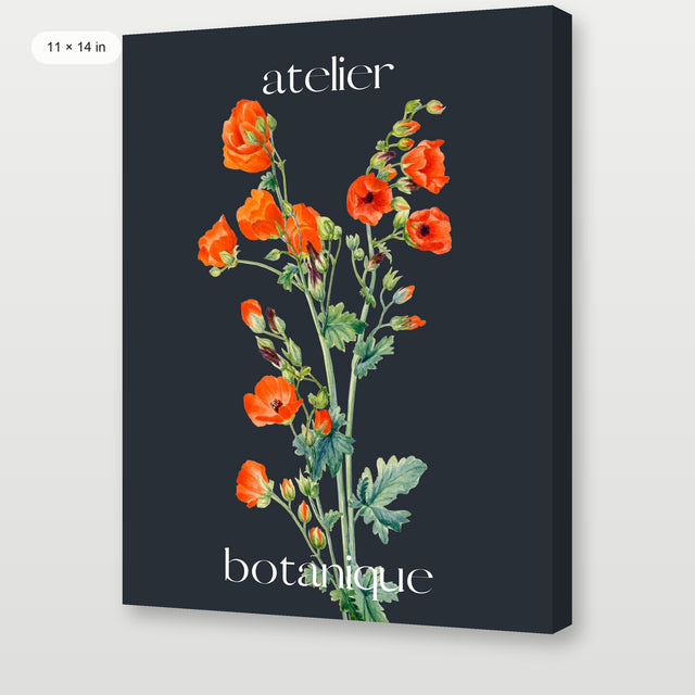 Atelier Botanique P1, Gallery Wrap