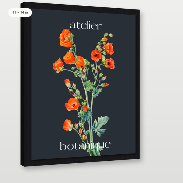 Atelier Botanique P1, Black Floater Frame