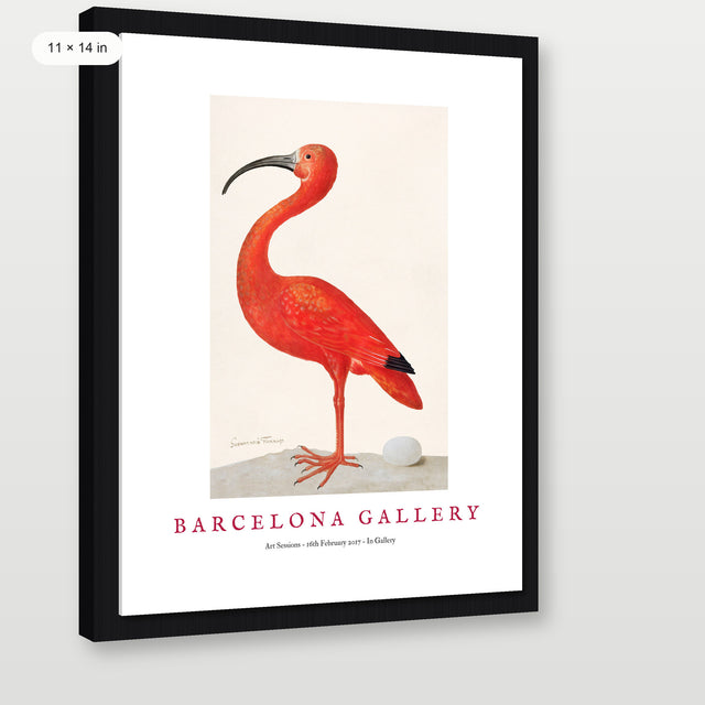 Barcelona Gallery - Ibis, Black Floater Frame