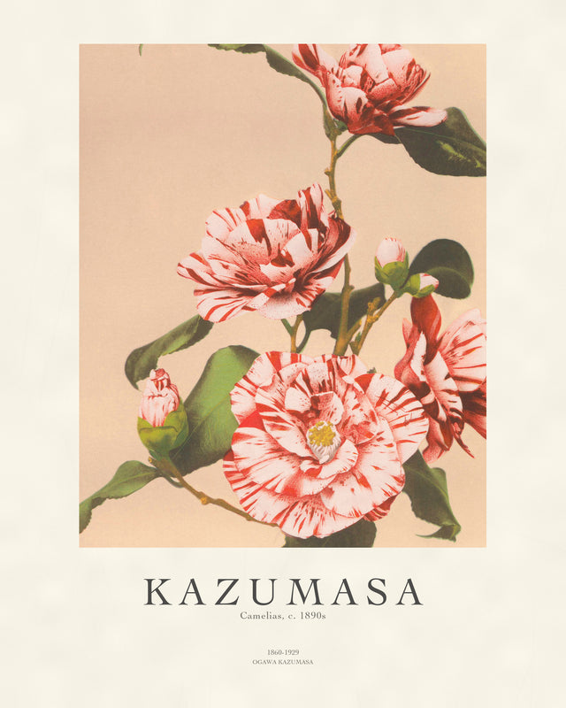 Kazumasa - Camelias, Gallery Style