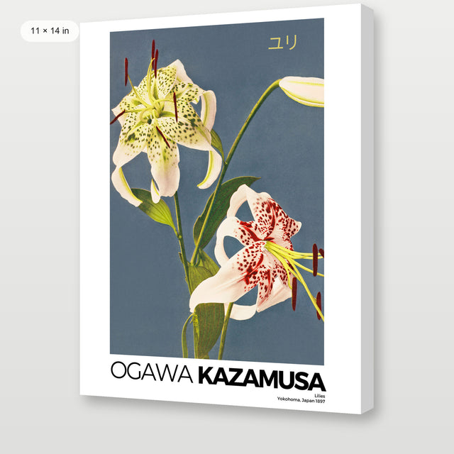 Kazumasa - Lilies, Gallery Wrap