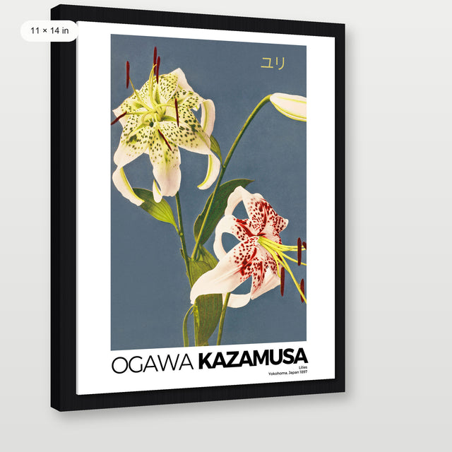 Kazumasa - Lilies, Black Floater Frame