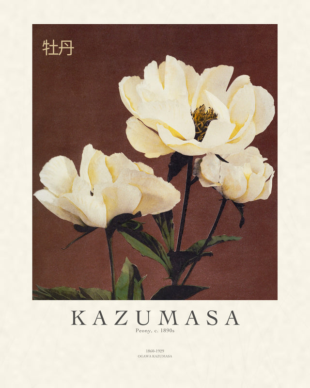 Kazumasa - Peony, Gallery Style