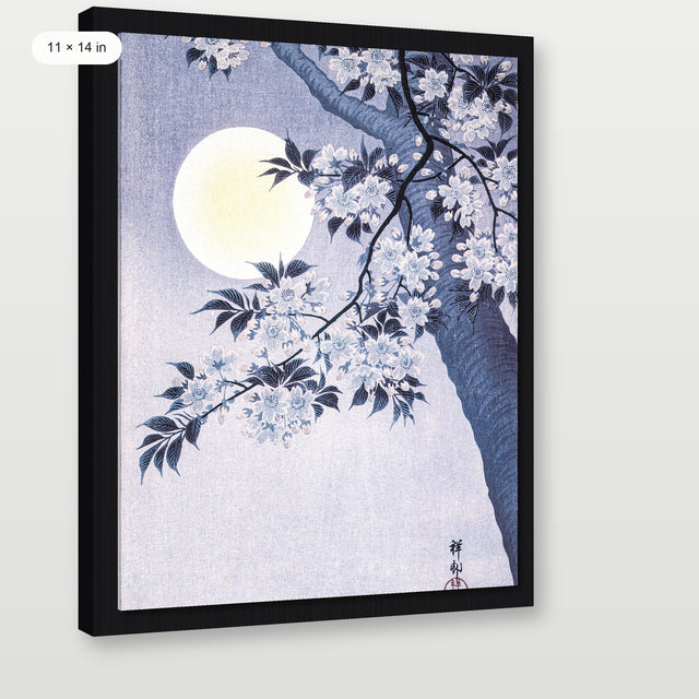 Koson - Blossoming Cherry, Black Floater Frame