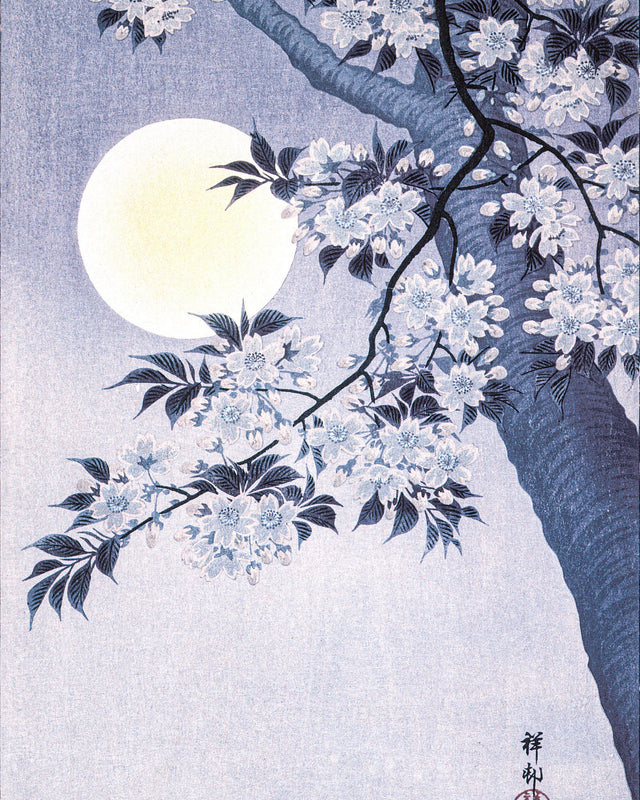 Koson - Blossoming Cherry, Full Bleed