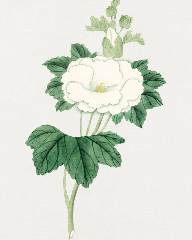 Tachi Aoi Flower, Full Bleed