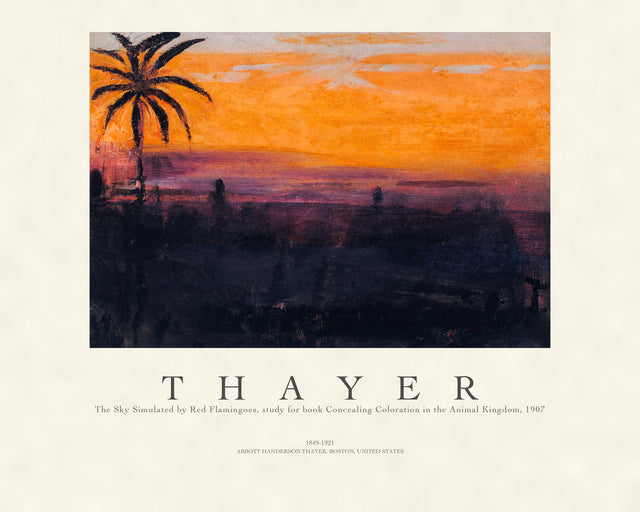 Thayer - the Sky Simulated, Gallery Style