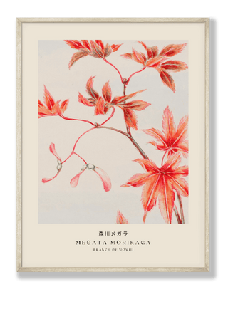 Japanese Classic Art 6 Art