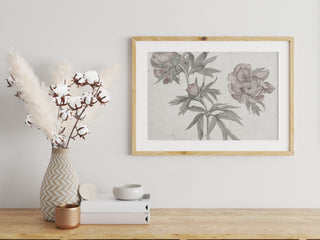 Spring Roses
