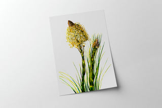 Tall Flower