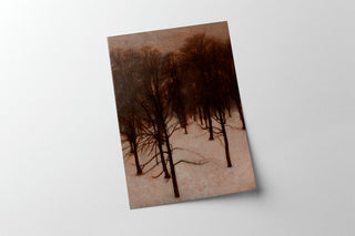 Park in Winter