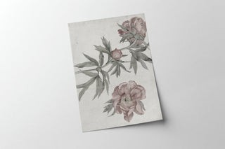 Spring Roses