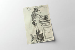 Vesalius - Human Anatomy