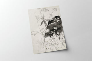 Flower Sketch