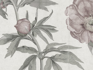 Spring Roses