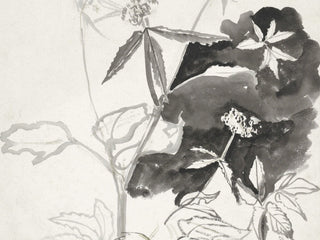 Flower Sketch