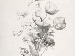 Flower Sketch