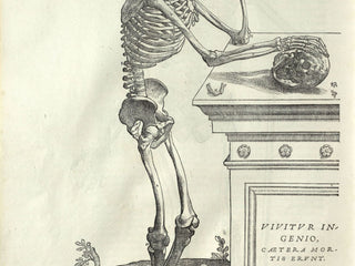 Vesalius - Human Anatomy