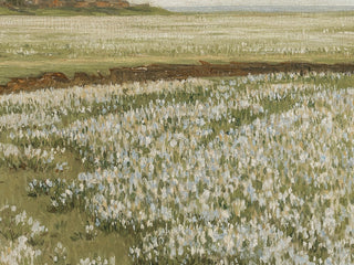 Spring Green Meadow