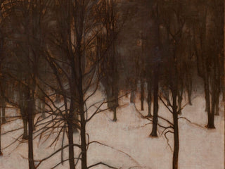 Park in Winter