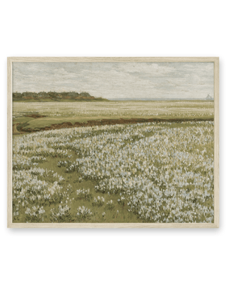 Spring Green Meadow