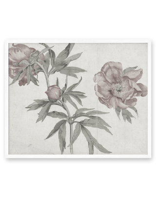 Spring Roses