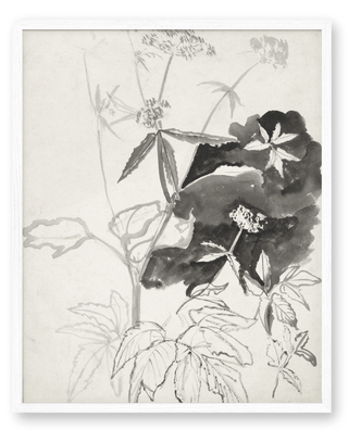 Flower Sketch