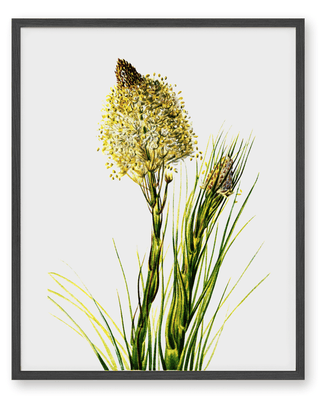 Tall Flower