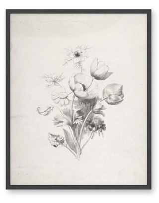 Flower Sketch