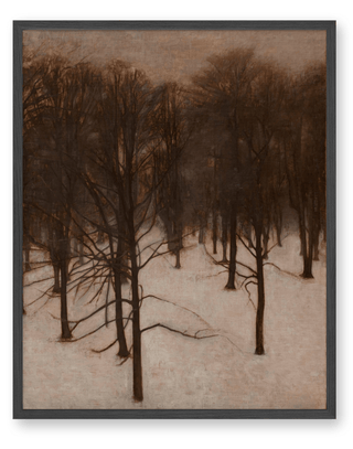 Park in Winter