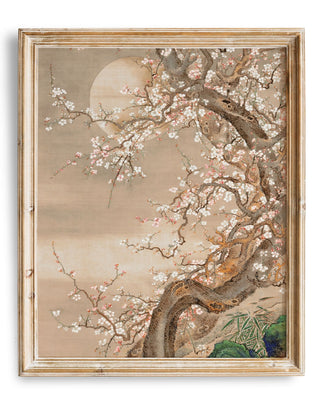Japanese Blossom Sun Meditation