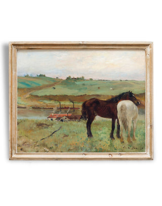 Western Horse