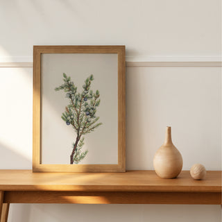 Winter Pine Branch