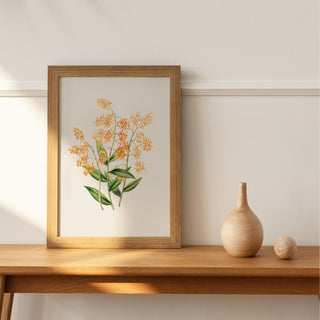 Wildflower