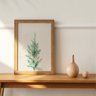 Winter Branch