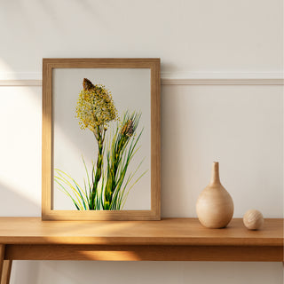 Tall Flower