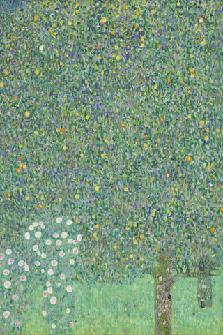 Klimt - Rose Bushes Under Trees