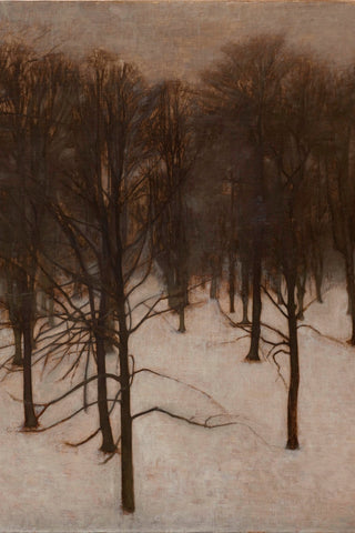 Park in Winter