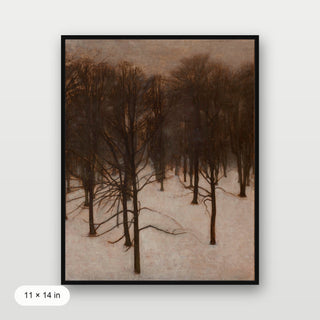 Park in Winter