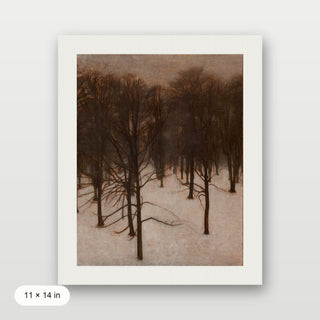 Park in Winter