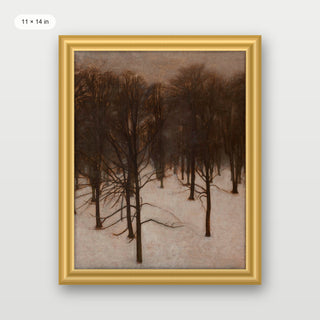 Park in Winter